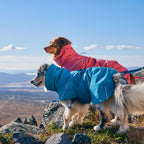 Expedition Parka II product image