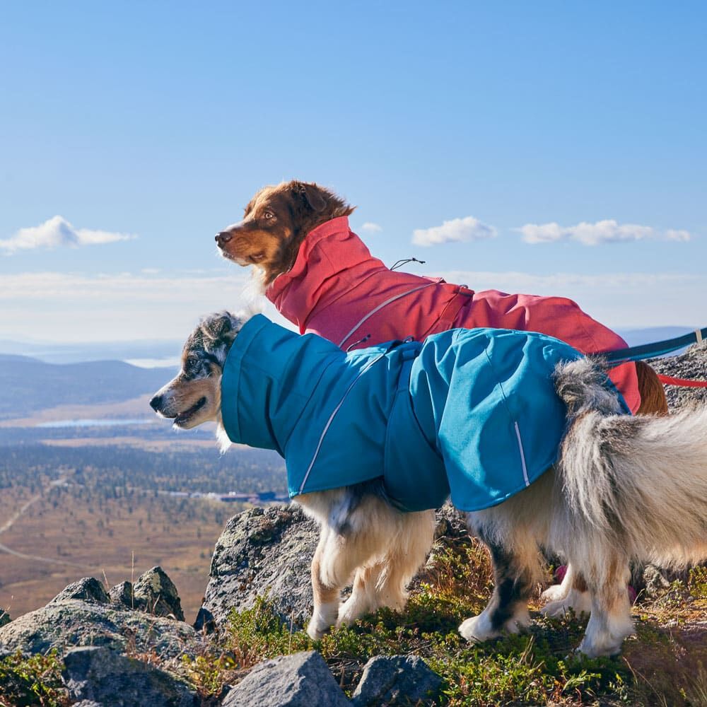 Expedition Parka II product image