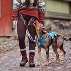 Safeguard Harness ECO product image