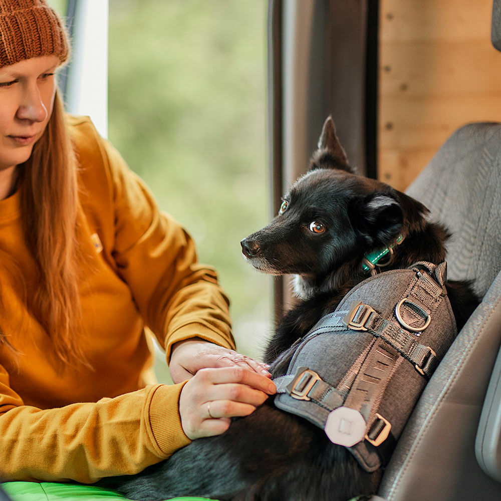 Travel Harness ECO product image