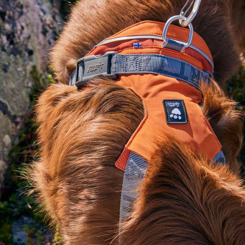 Rover Harness product image