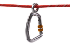 Knot-a-Hitch™ Dog Tether product image