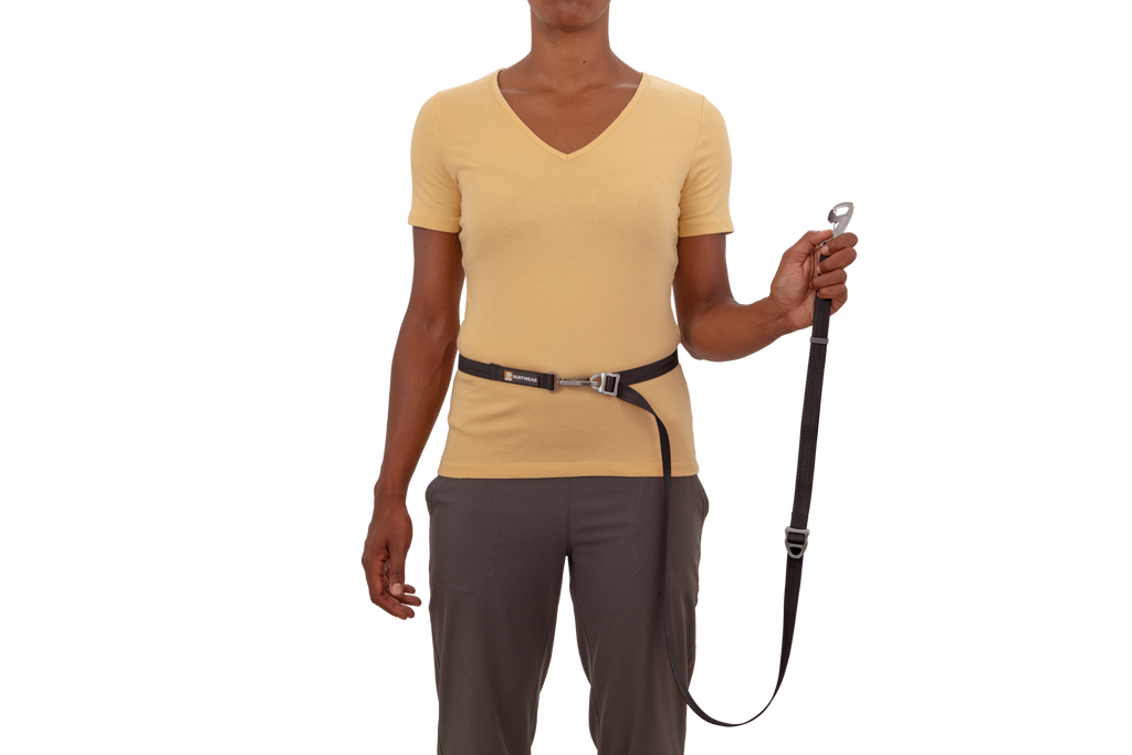 Switchbak™ Double-Ended Dog Lead product image