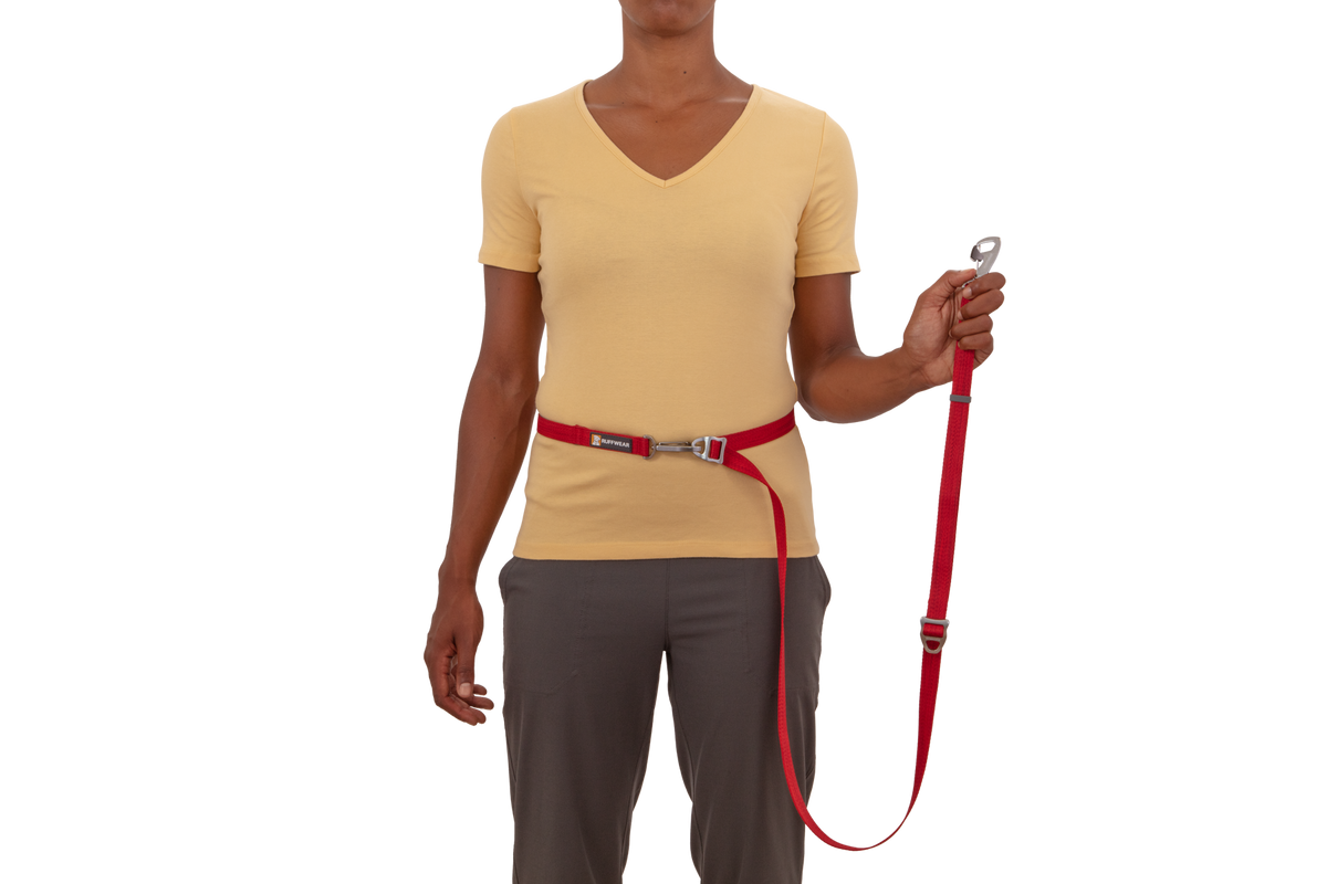 Switchbak™ Double-Ended Dog Lead product image