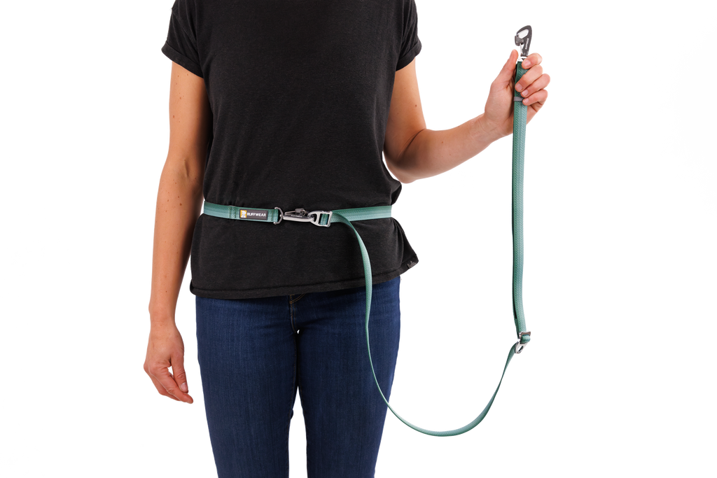 Switchbak™ Double-Ended Dog Lead product image