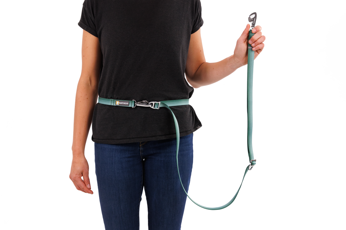 Switchbak™ Double-Ended Dog Lead product image