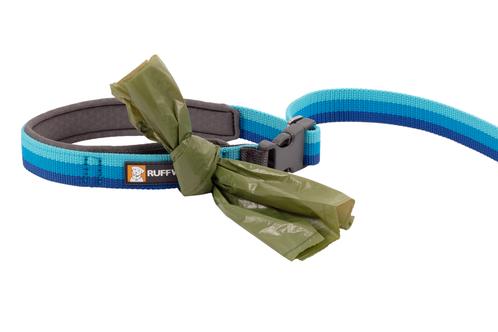 Roamer™ Bungee Dog Running Lead product image