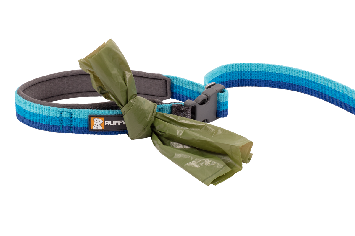 Roamer™ Bungee Dog Running Lead product image