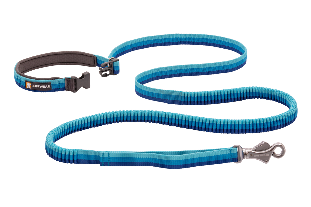 Roamer™ Bungee Dog Running Lead product image