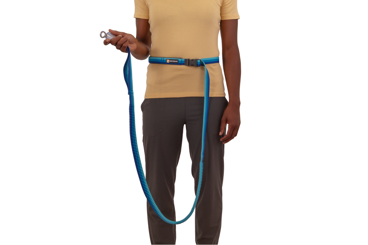 Roamer™ Bungee Dog Running Lead product image