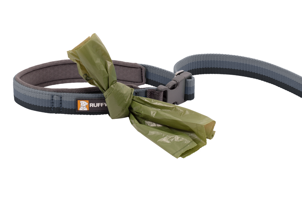 Roamer™ Bungee Dog Running Lead product image