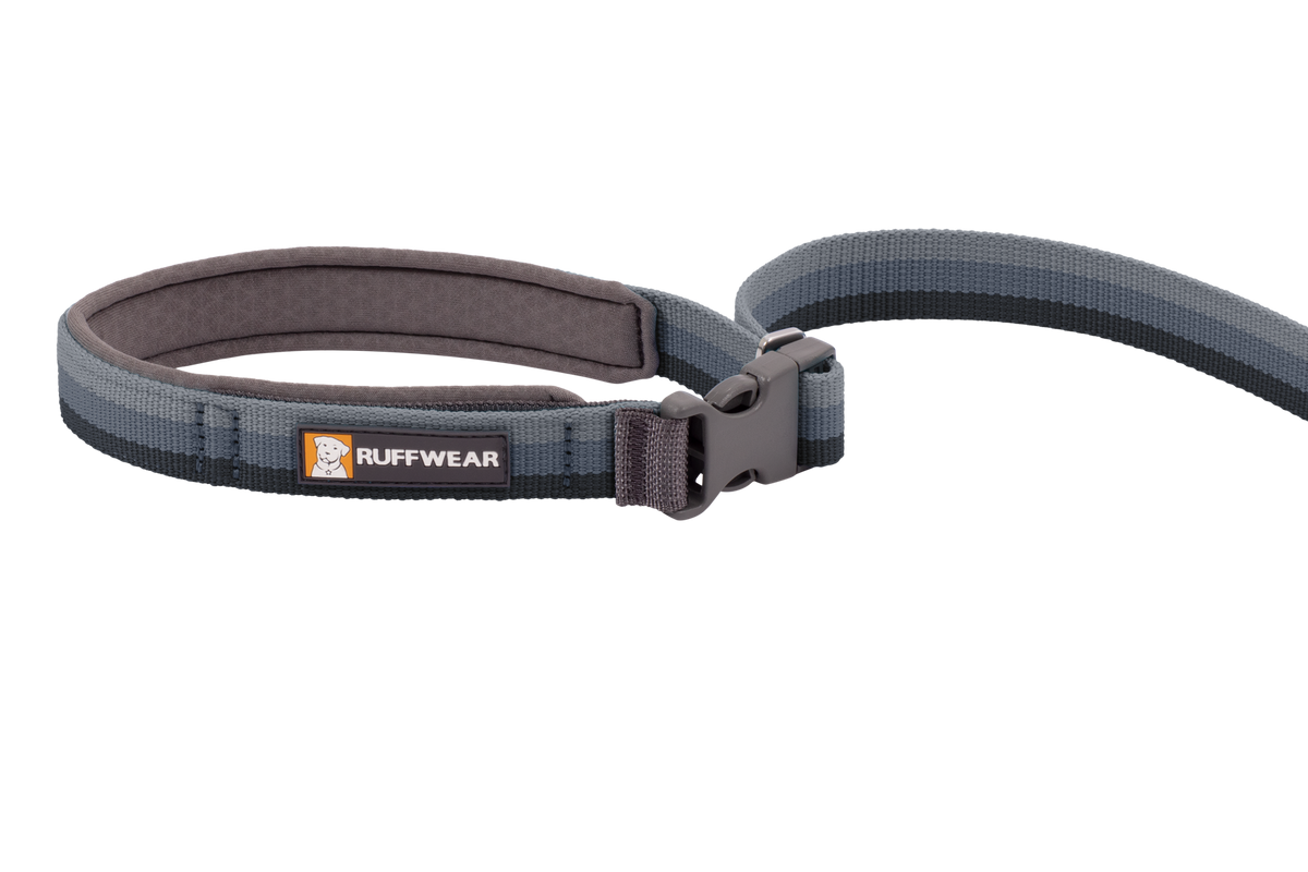 Roamer™ Bungee Dog Running Lead product image