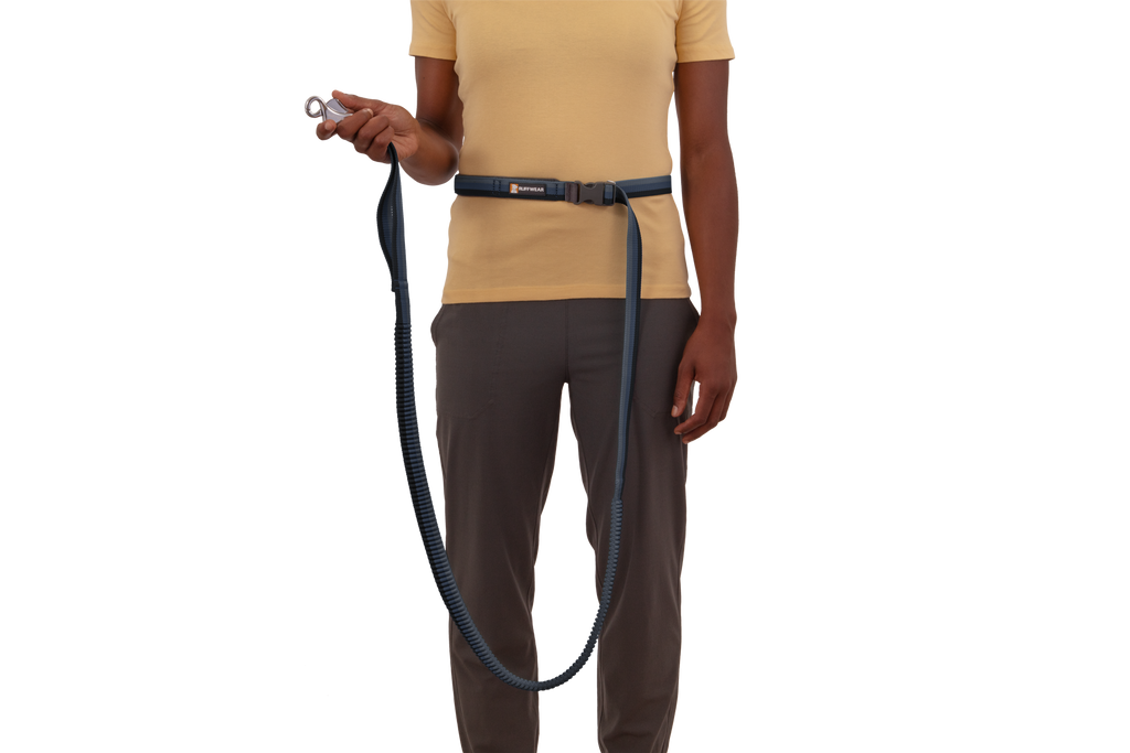 Roamer™ Bungee Dog Running Lead product image