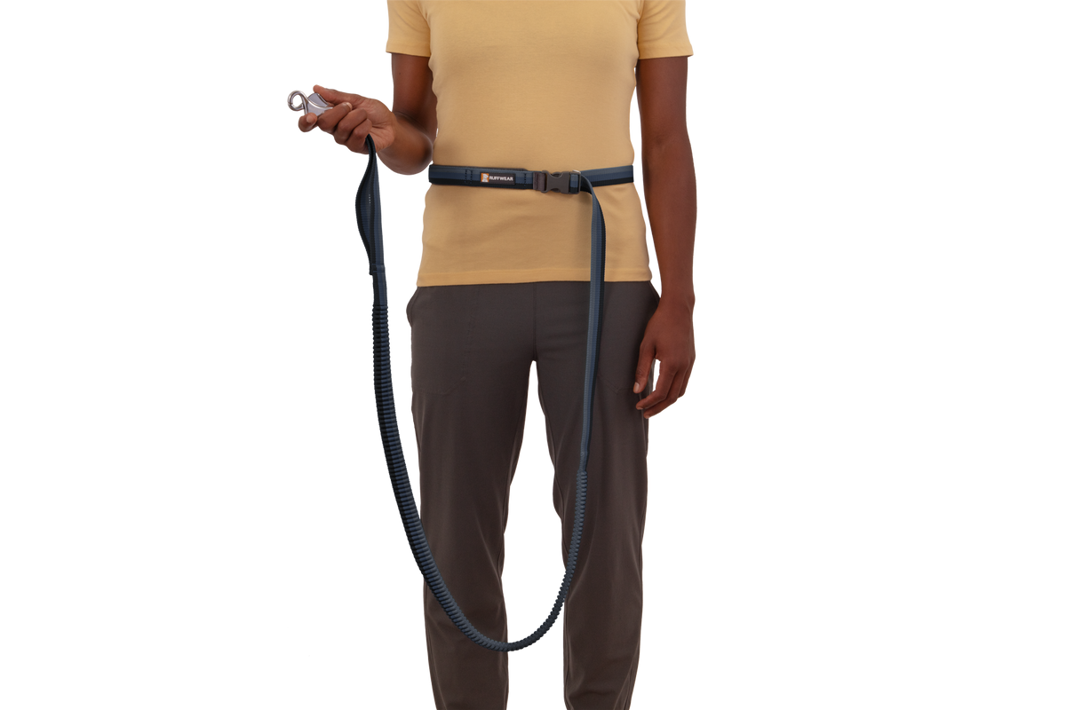 Roamer™ Bungee Dog Running Lead product image