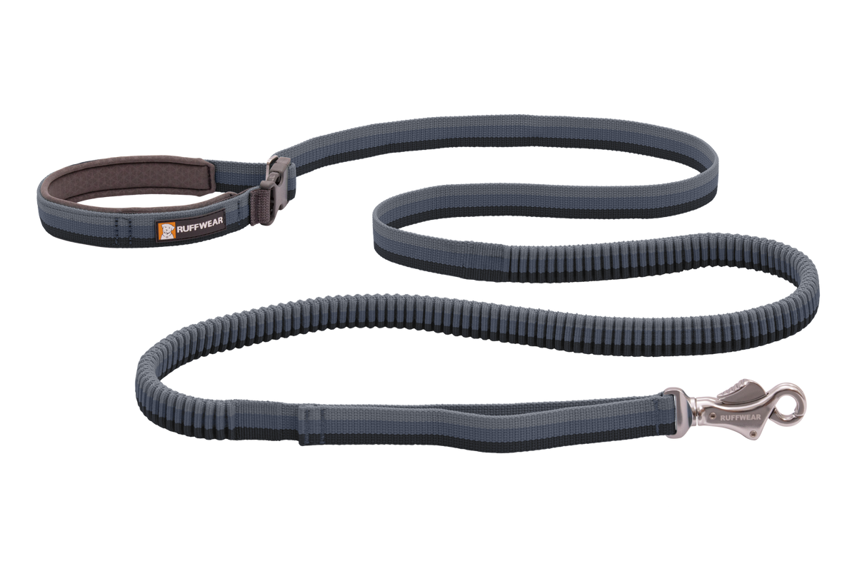 Roamer™ Bungee Dog Running Lead product image
