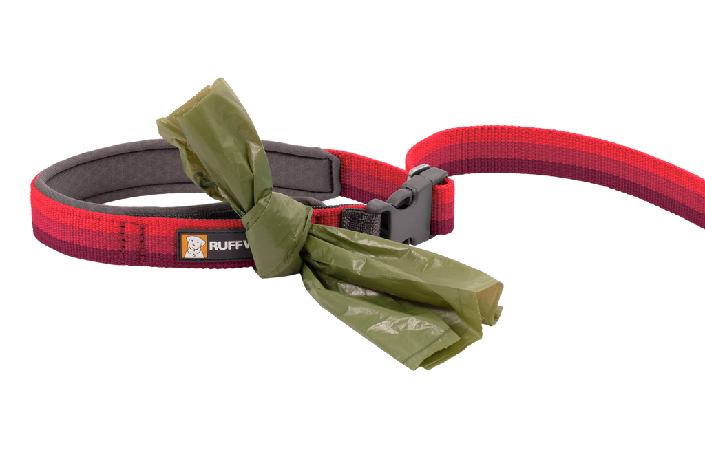 Roamer™ Bungee Dog Running Lead product image