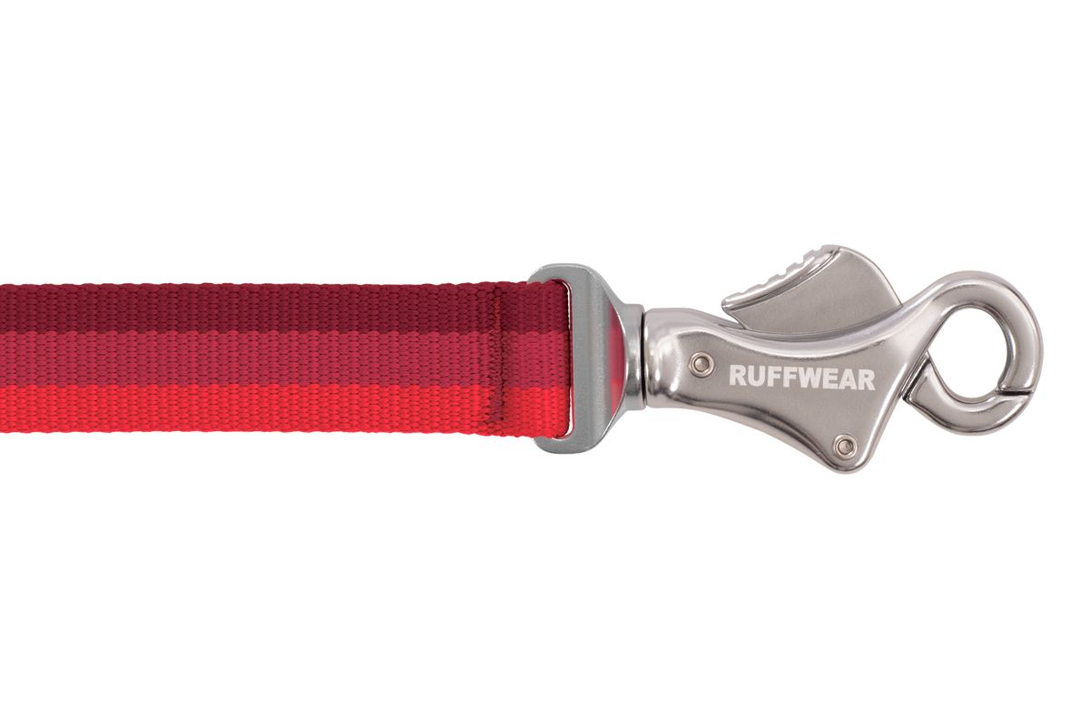 Roamer™ Bungee Dog Running Lead product image