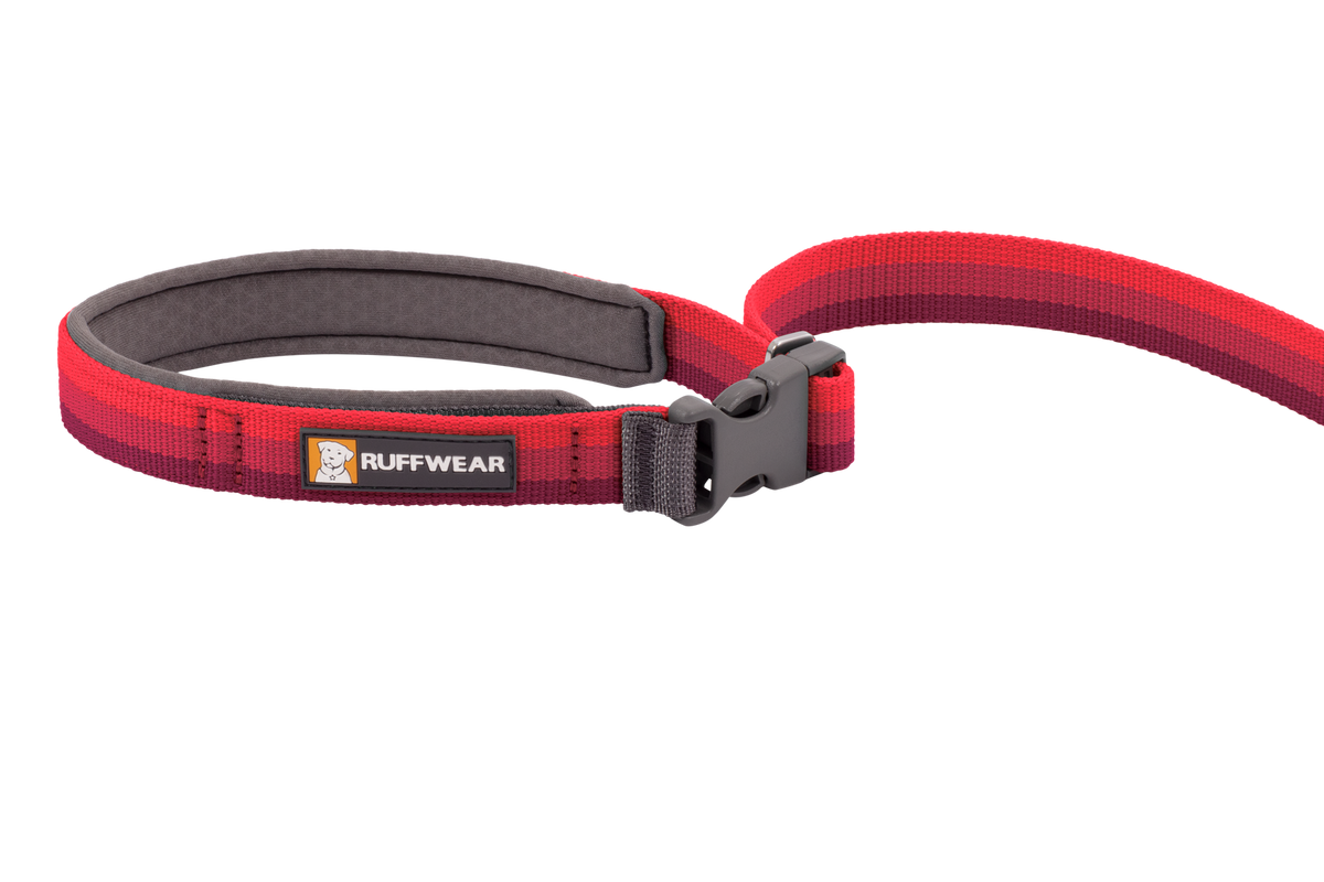 Roamer™ Bungee Dog Running Lead product image