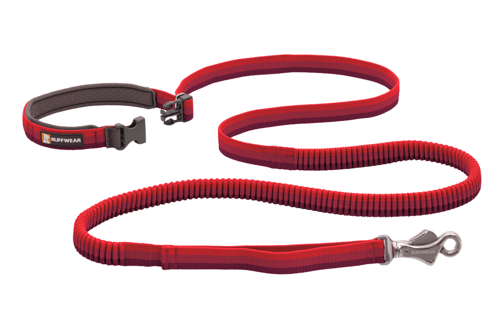 Roamer™ Bungee Dog Running Lead product image