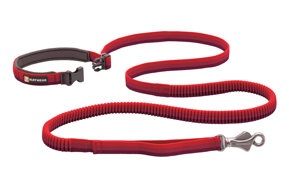 Roamer™ Bungee Dog Running Lead product image