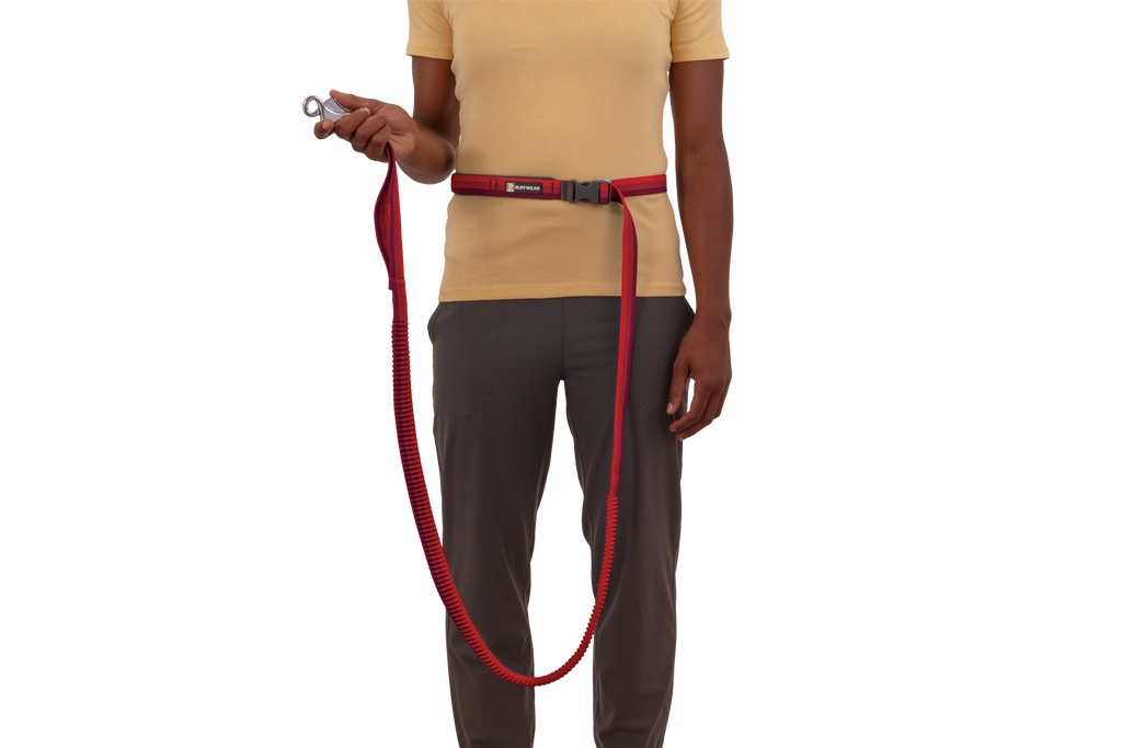 Roamer™ Bungee Dog Running Lead product image