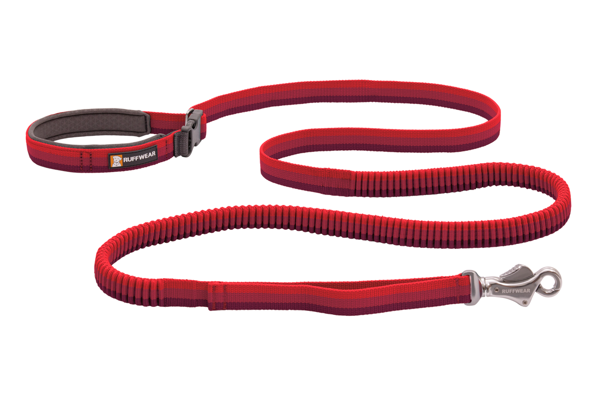 Roamer™ Bungee Dog Running Lead product image