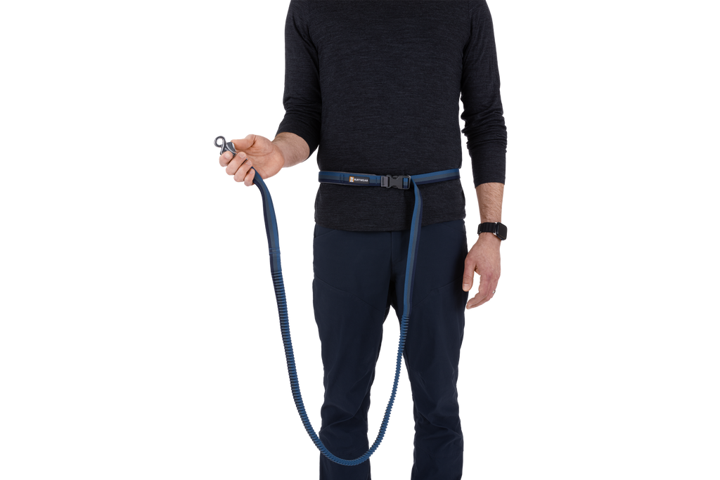 Roamer™ Bungee Dog Lead product image