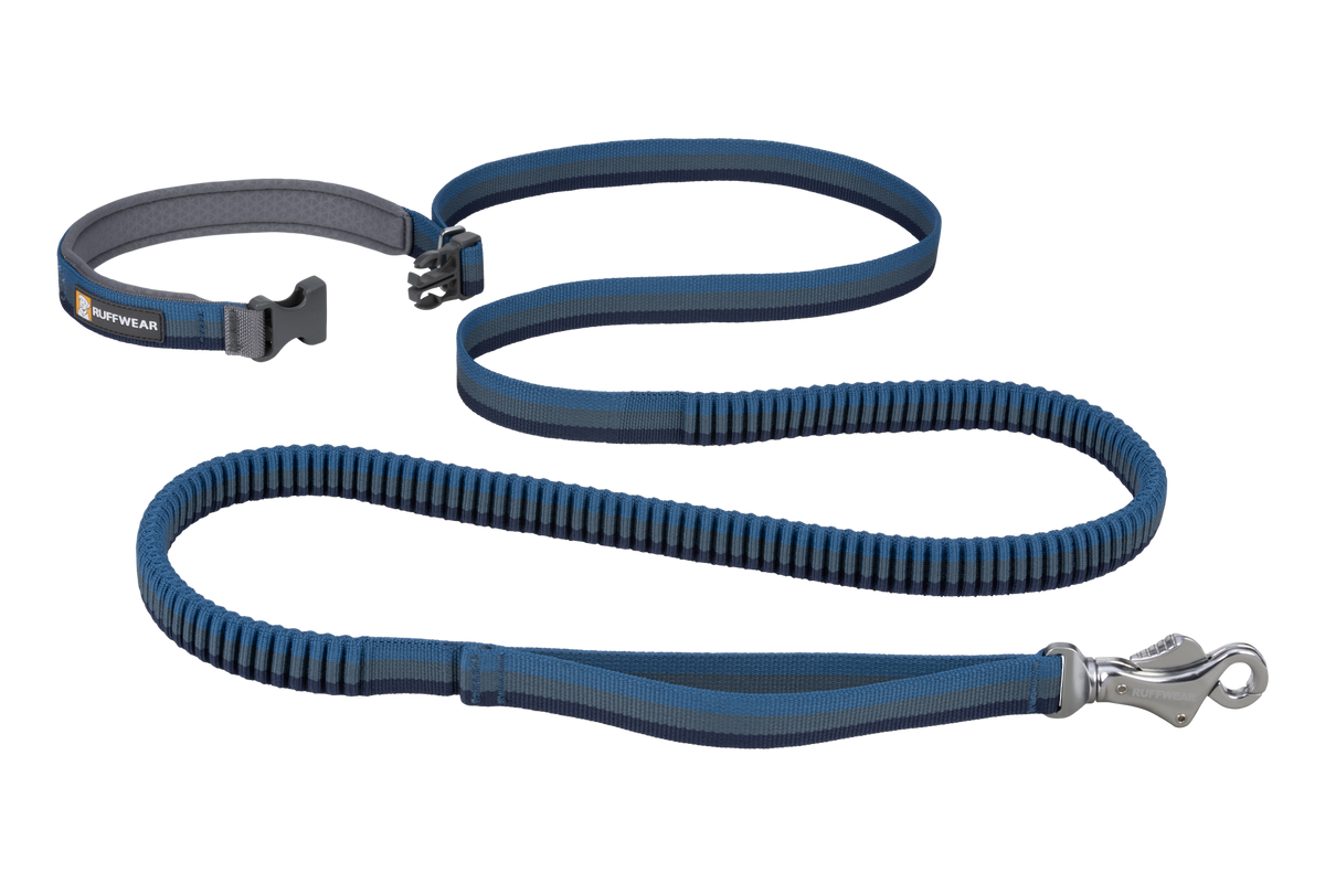 Roamer™ Bungee Dog Lead product image