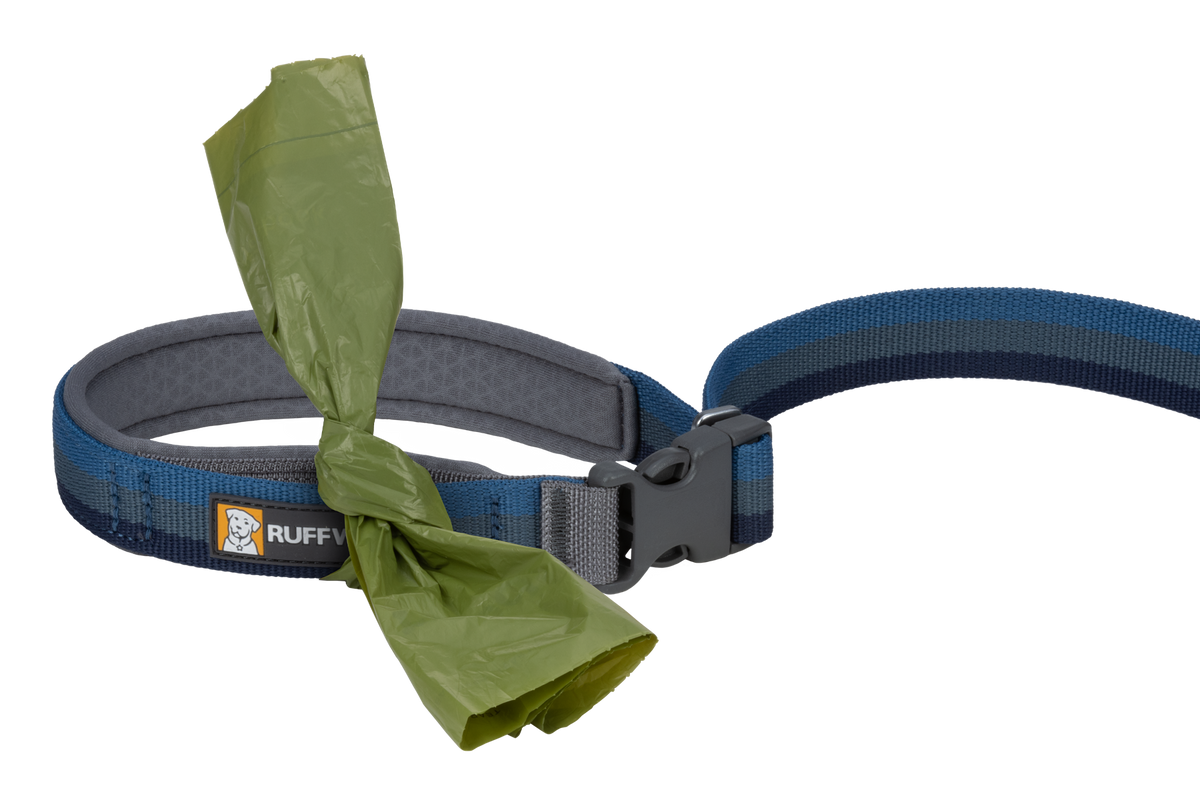 Roamer™ Bungee Dog Lead product image
