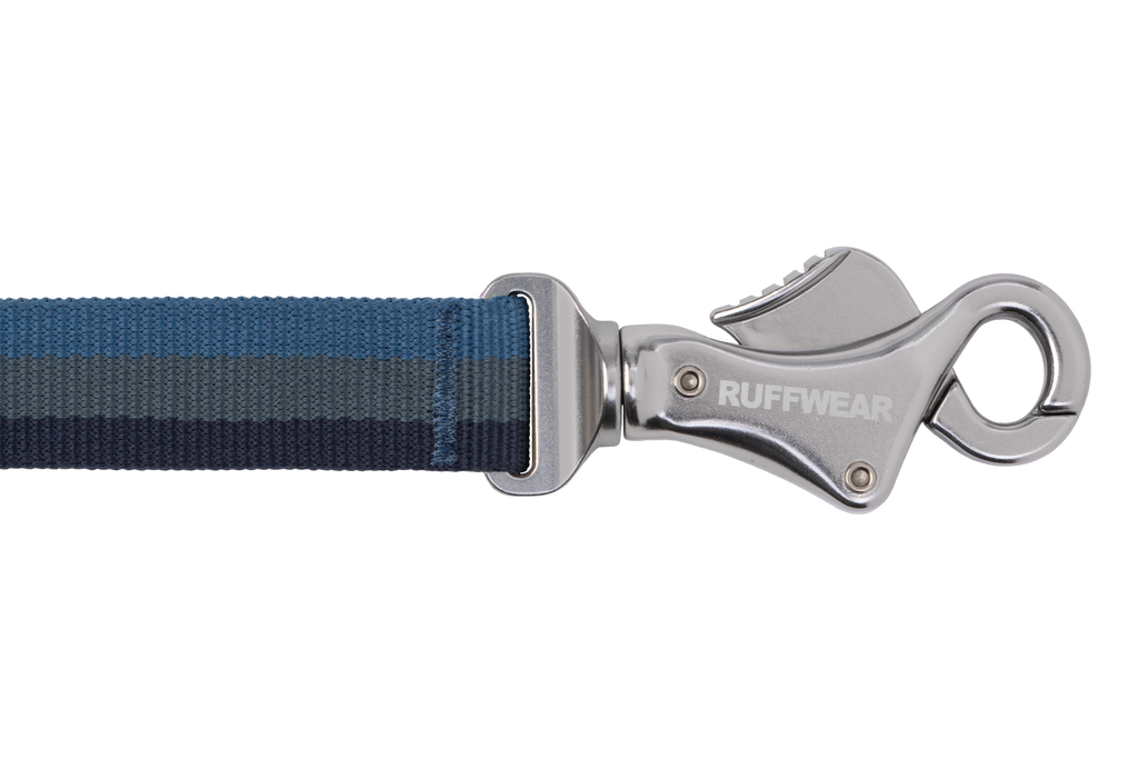 Roamer™ Bungee Dog Lead product image