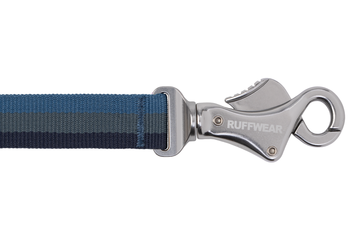 Roamer™ Bungee Dog Lead product image
