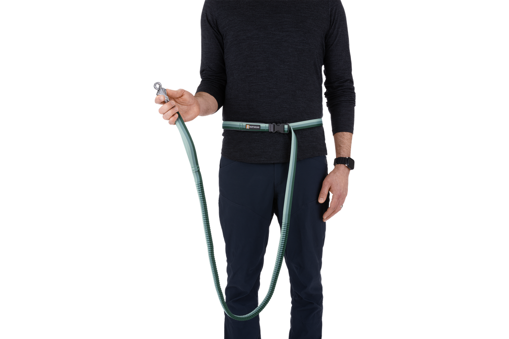 Roamer™ Bungee Dog Lead product image