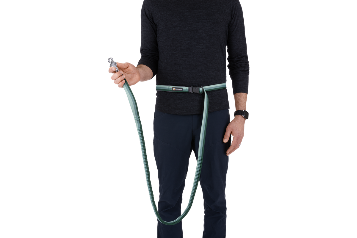 Roamer™ Bungee Dog Lead product image