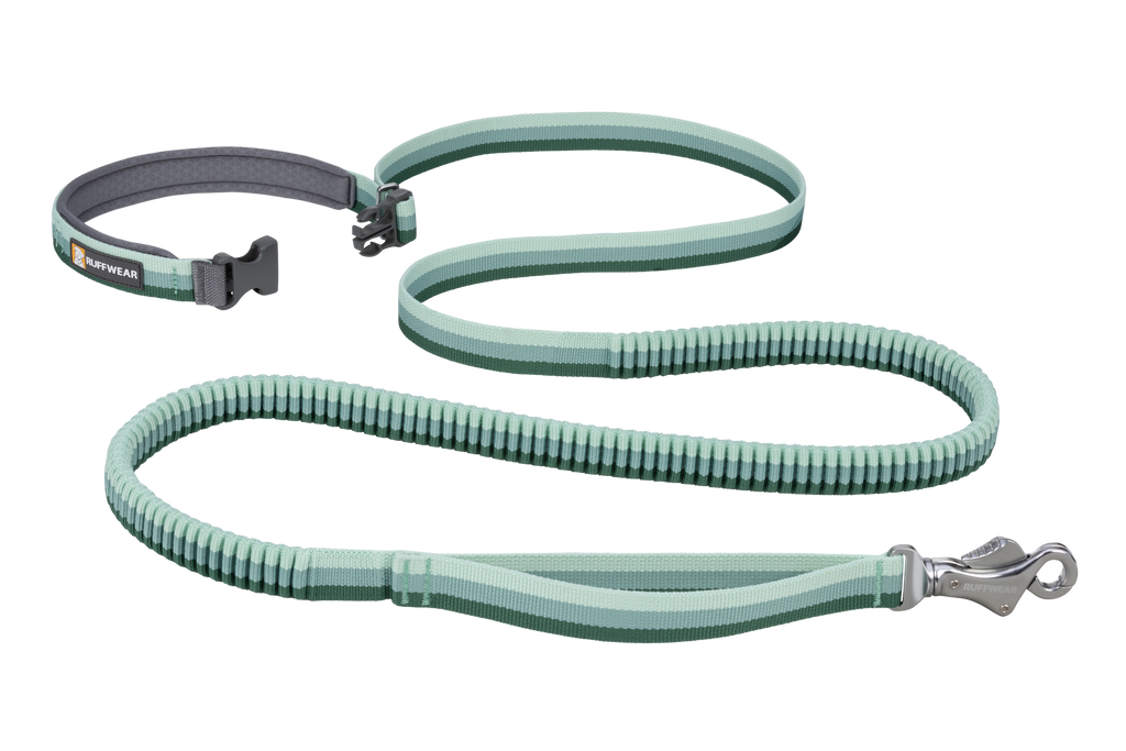 Roamer™ Bungee Dog Lead product image