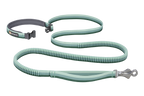 Roamer™ Bungee Dog Lead product image