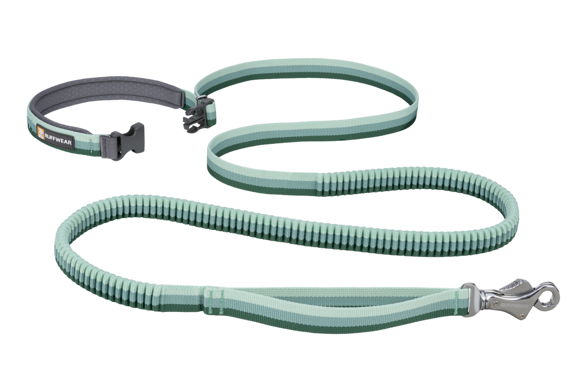 Roamer™ Bungee Dog Lead product image