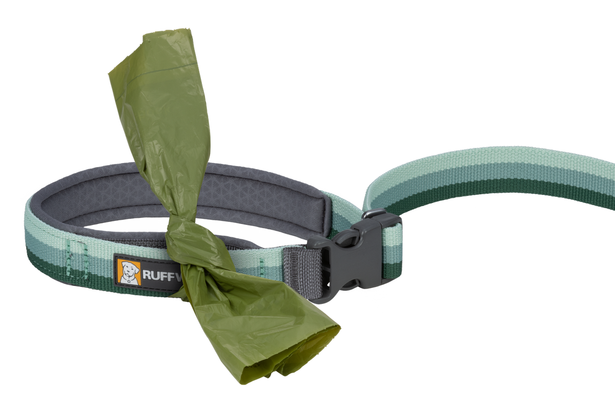 Roamer™ Bungee Dog Lead product image