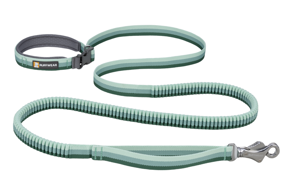 Roamer™ Bungee Dog Lead product image