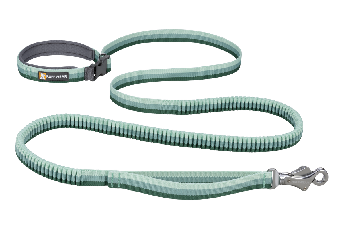 Roamer™ Bungee Dog Lead product image