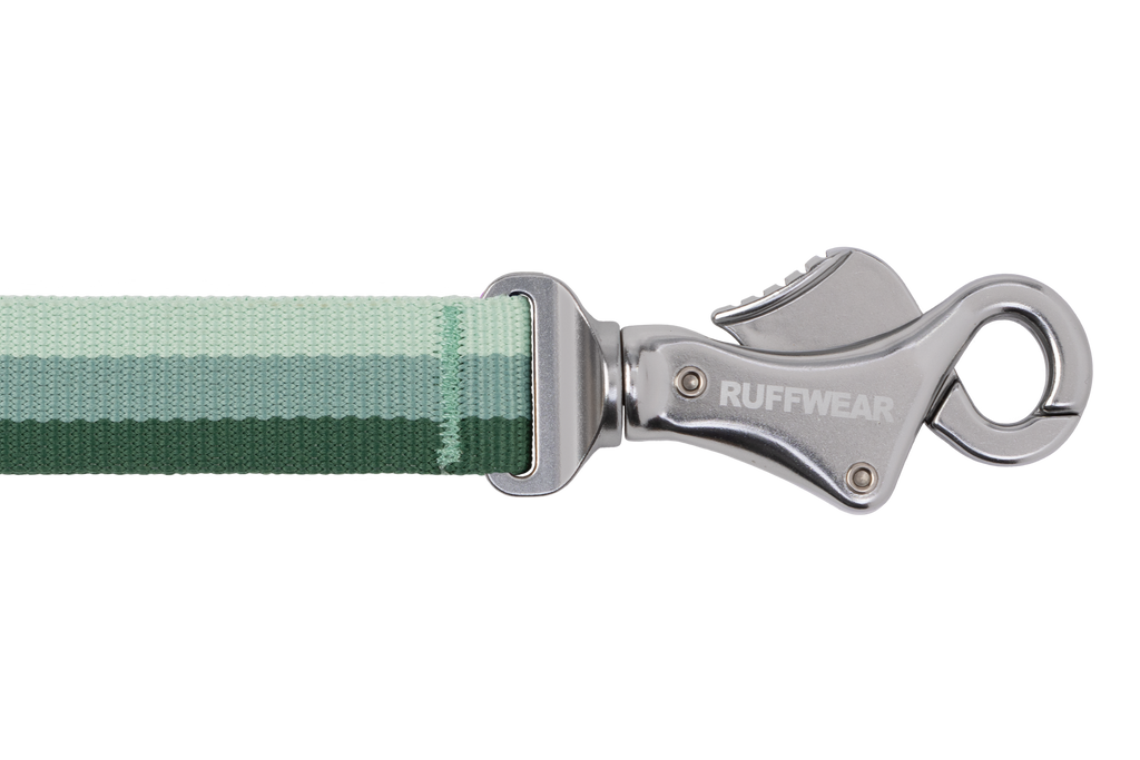 Roamer™ Bungee Dog Lead product image