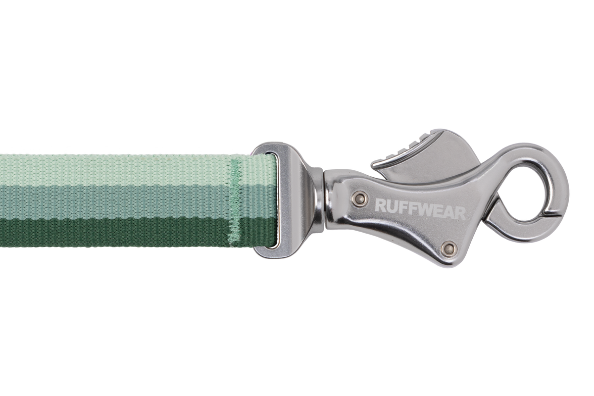 Roamer™ Bungee Dog Lead product image