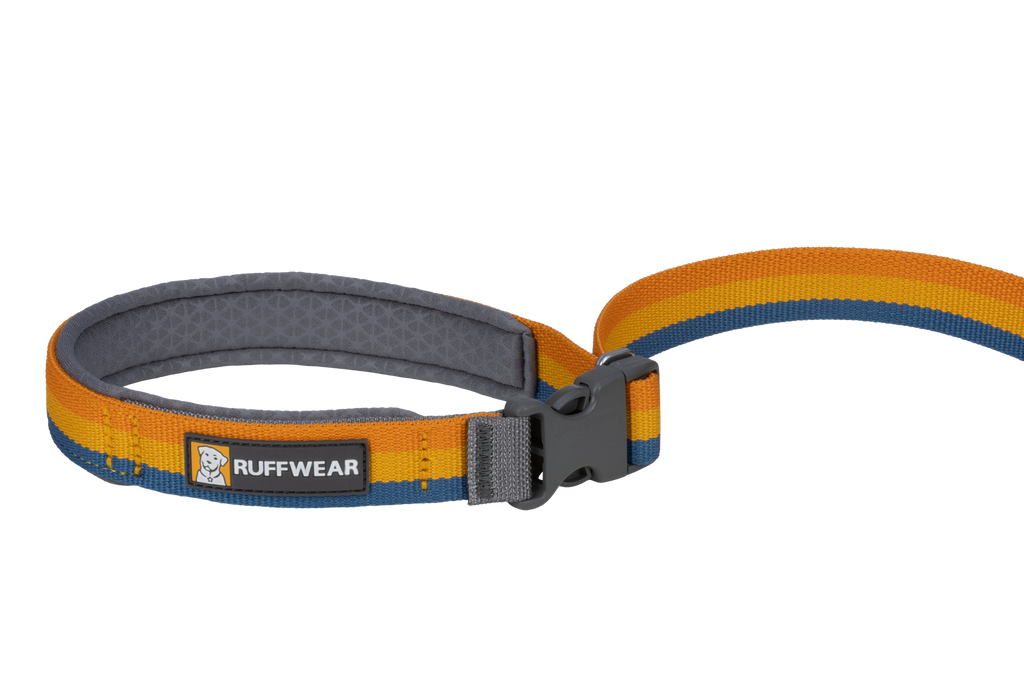 Roamer™ Bungee Dog Lead product image