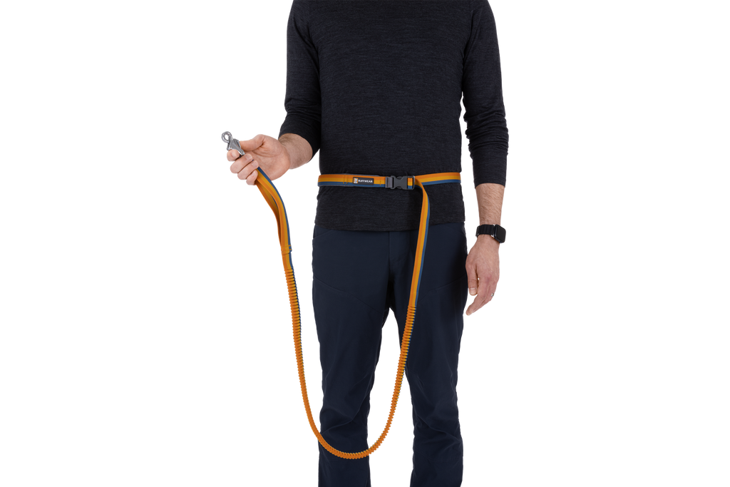 Roamer™ Bungee Dog Lead product image
