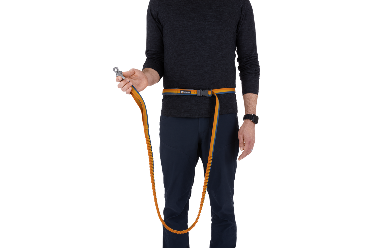 Roamer™ Bungee Dog Lead product image