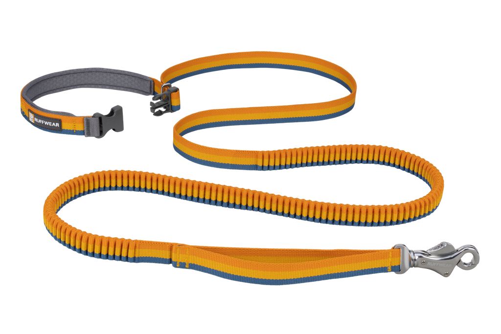 Roamer™ Bungee Dog Lead product image