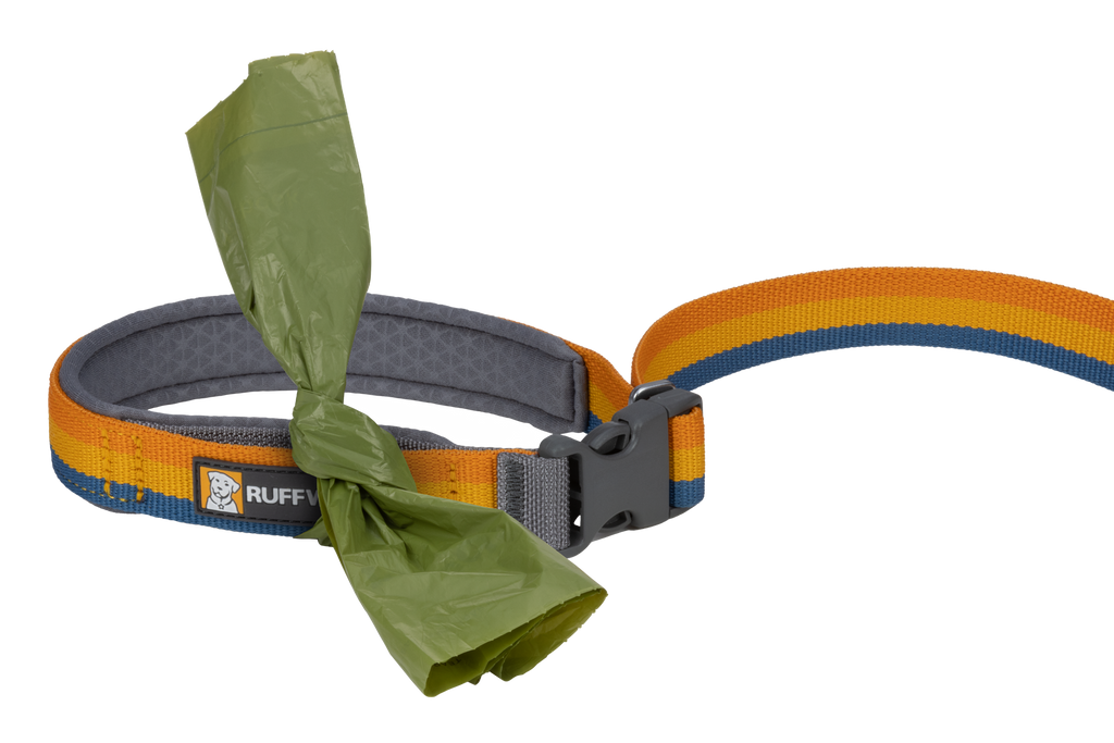 Roamer™ Bungee Dog Lead product image