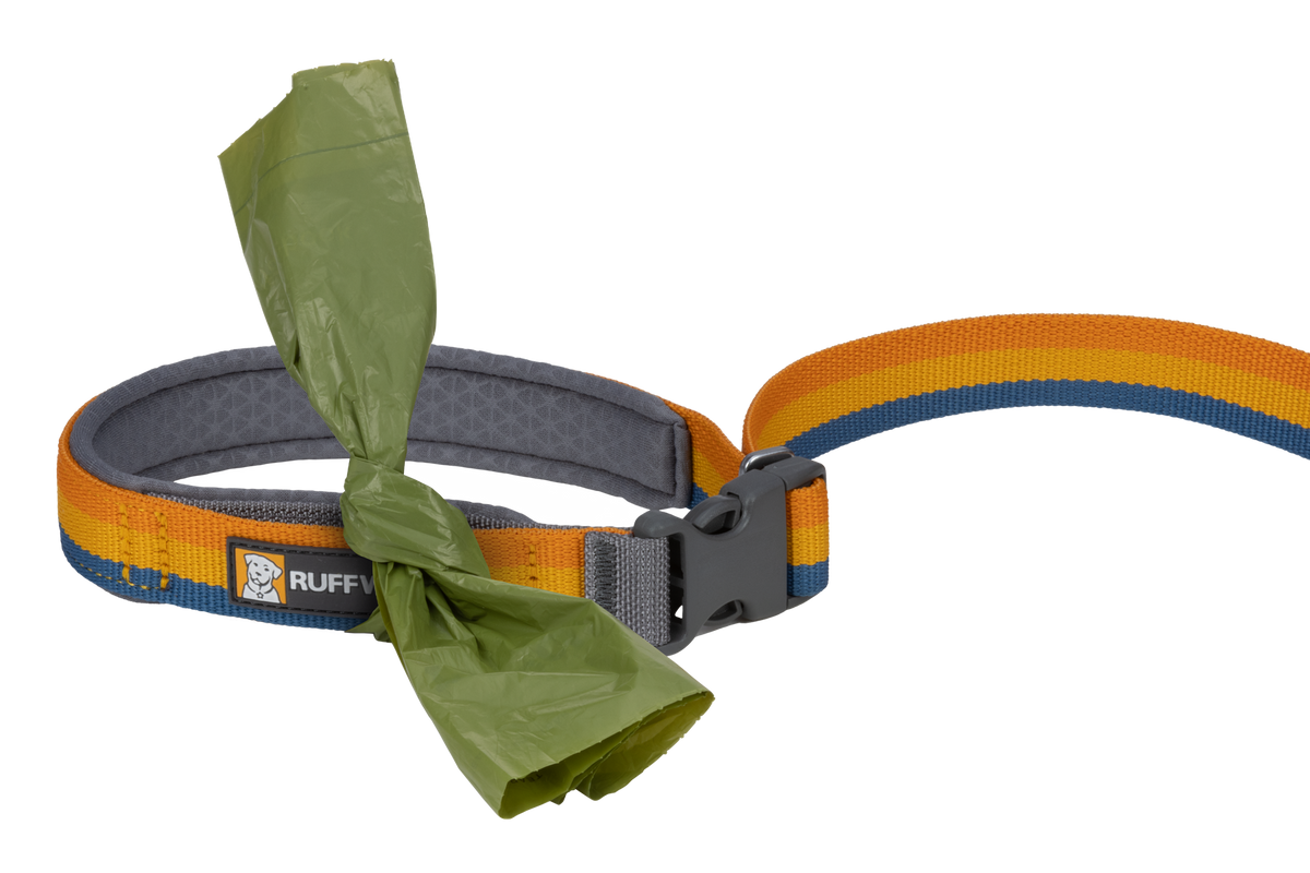Roamer™ Bungee Dog Lead product image