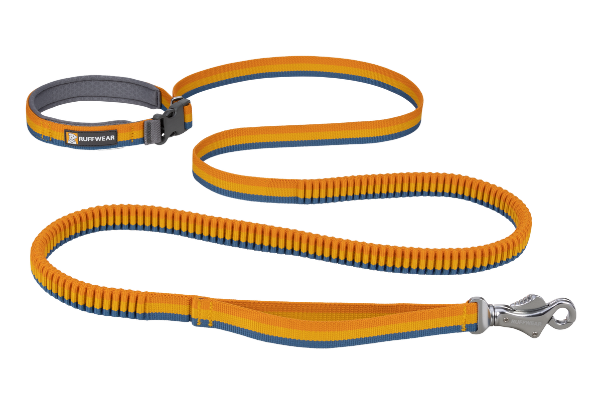 Roamer™ Bungee Dog Lead product image