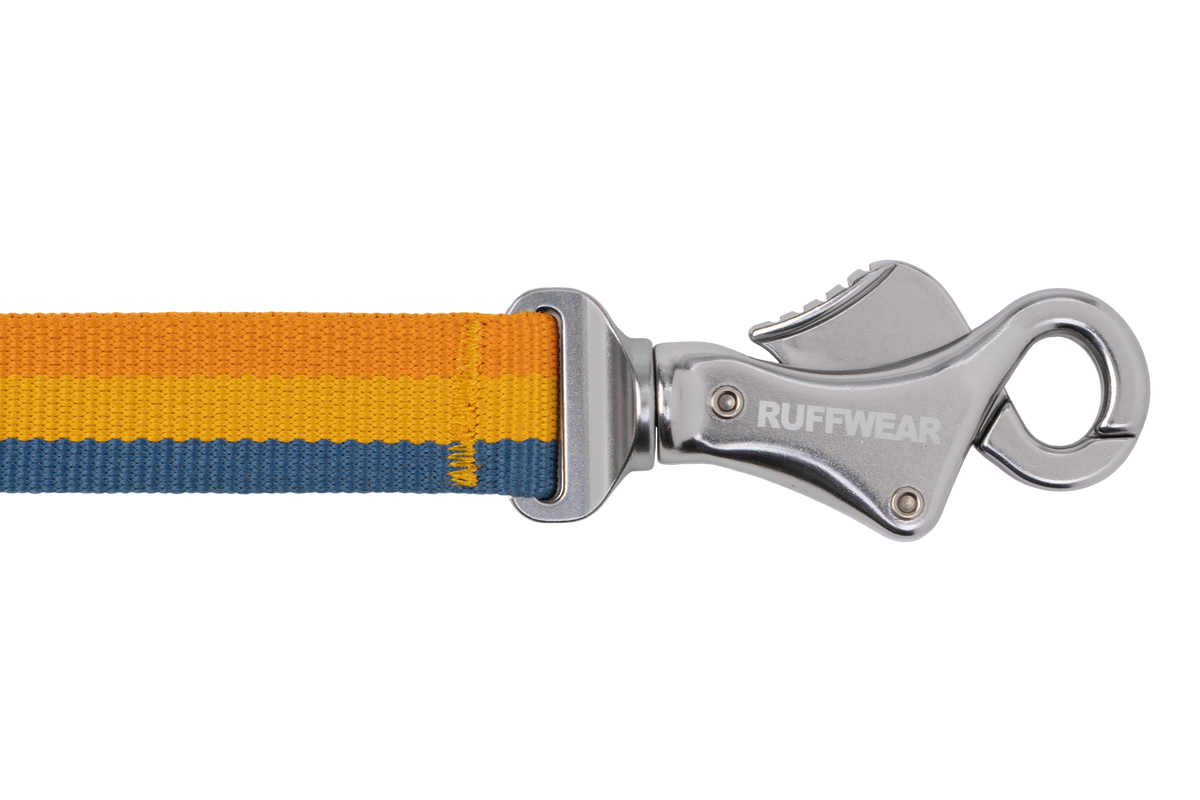 Roamer™ Bungee Dog Lead product image