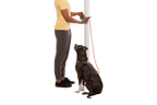 Hitch Hiker™ Leash product image